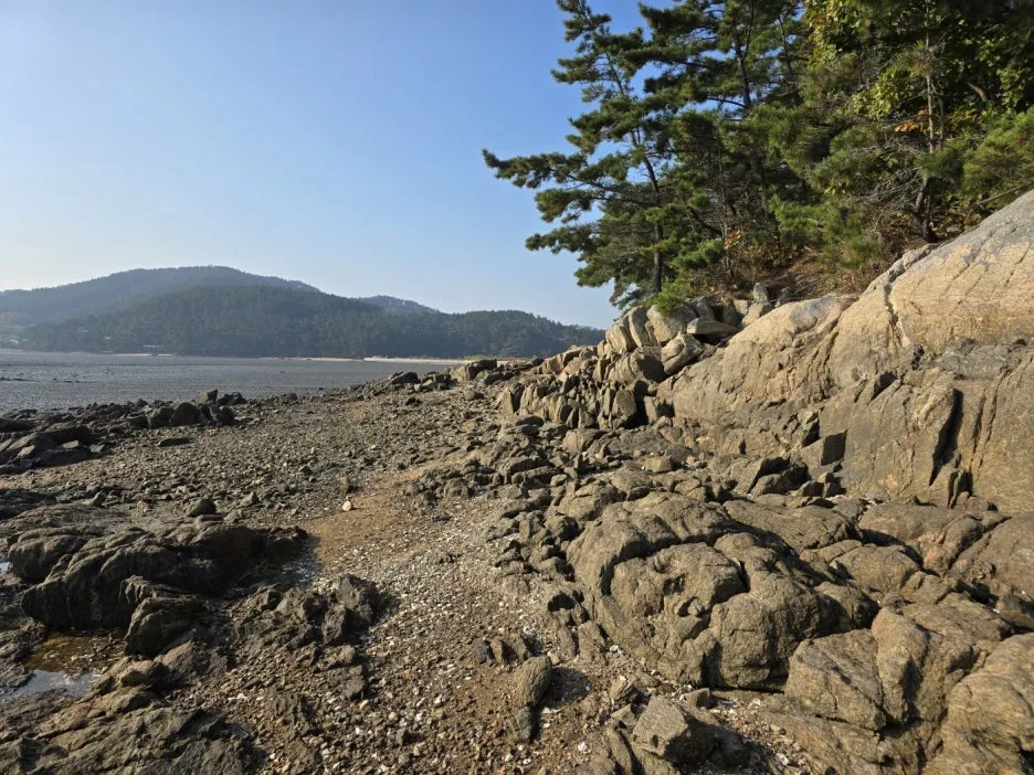 KakaoTalk_20241112_044854649_12.jpg?type=w1