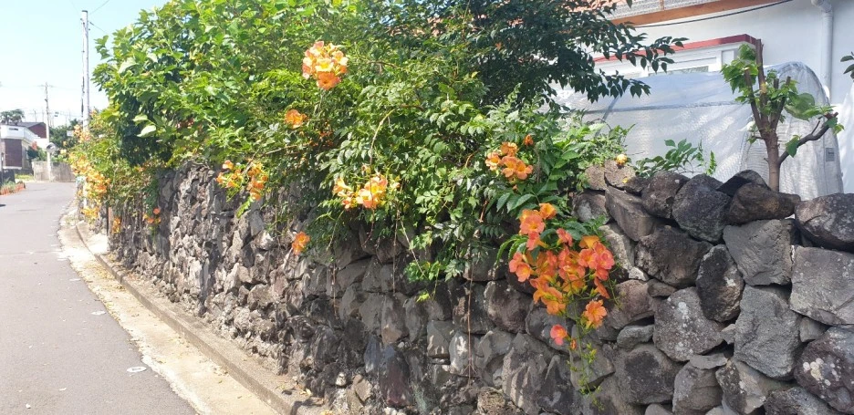 KakaoTalk_20220831_114235647_03.jpg?type=w1