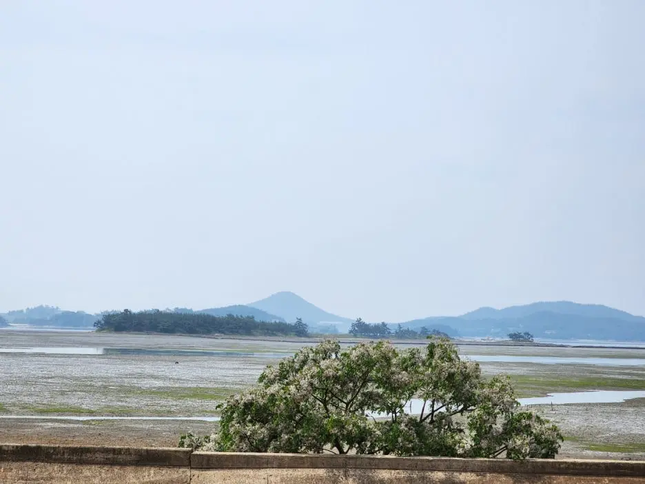 KakaoTalk_20240522_154457657_27.jpg?type=w1