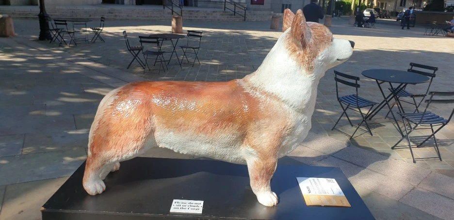 KakaoTalk_20220709_210840981.jpg?type=w1