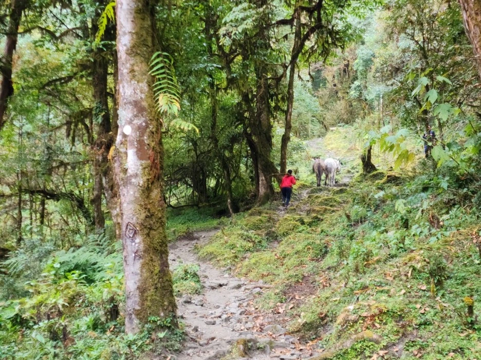 KakaoTalk_20221115_230009371_09.jpg?type=w1