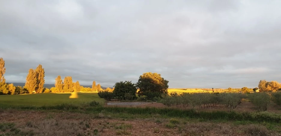 KakaoTalk_20220528_044008719_02.jpg?type=w1