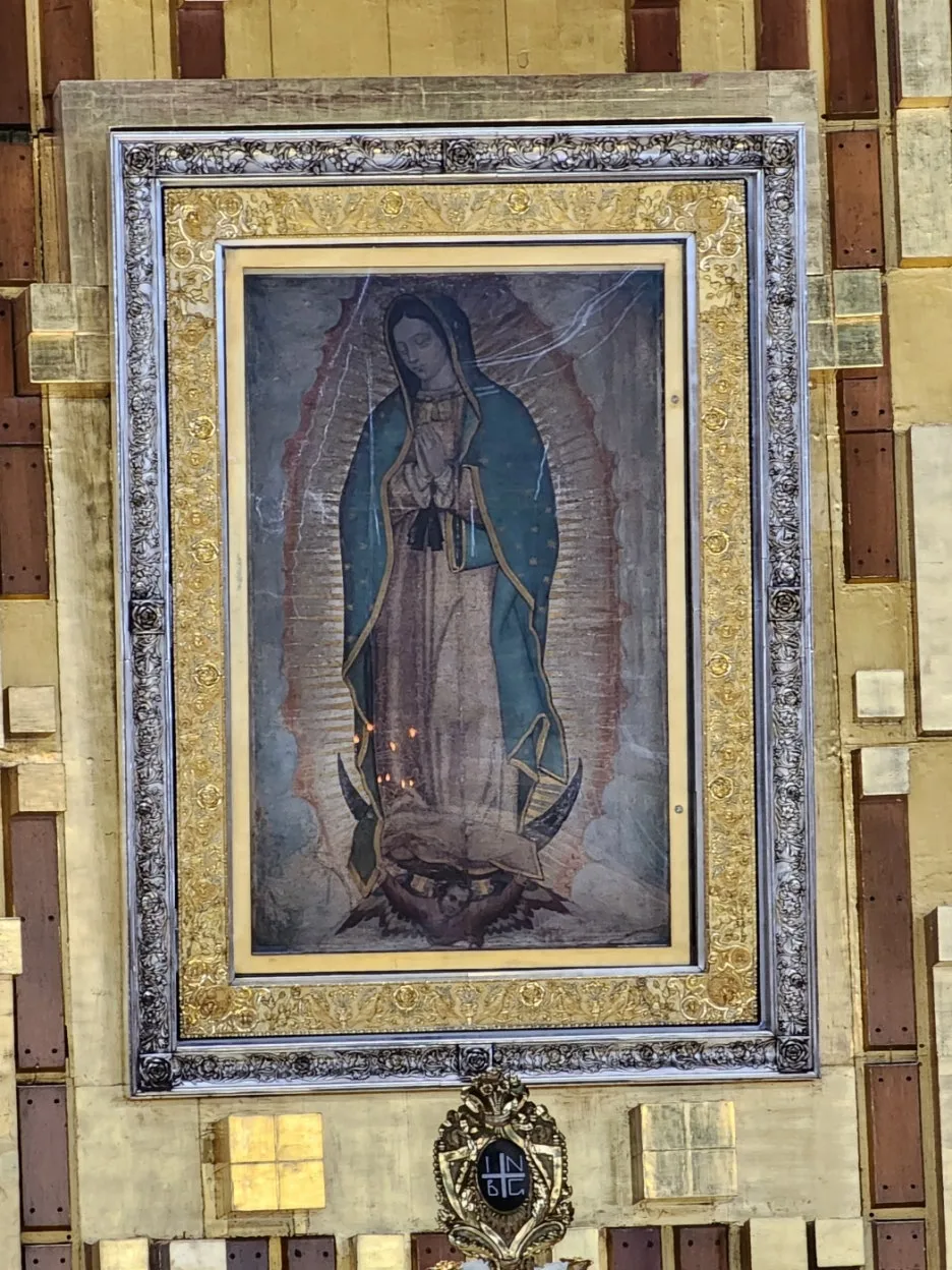 KakaoTalk_20240827_033622809_27.jpg?type=w1