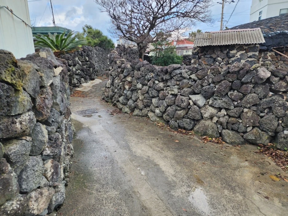 KakaoTalk_20221229_092408600_03.jpg?type=w1