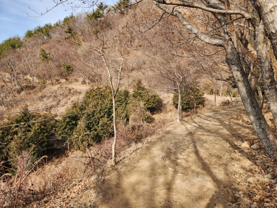 KakaoTalk_20230203_034236670_02.jpg?type=w1