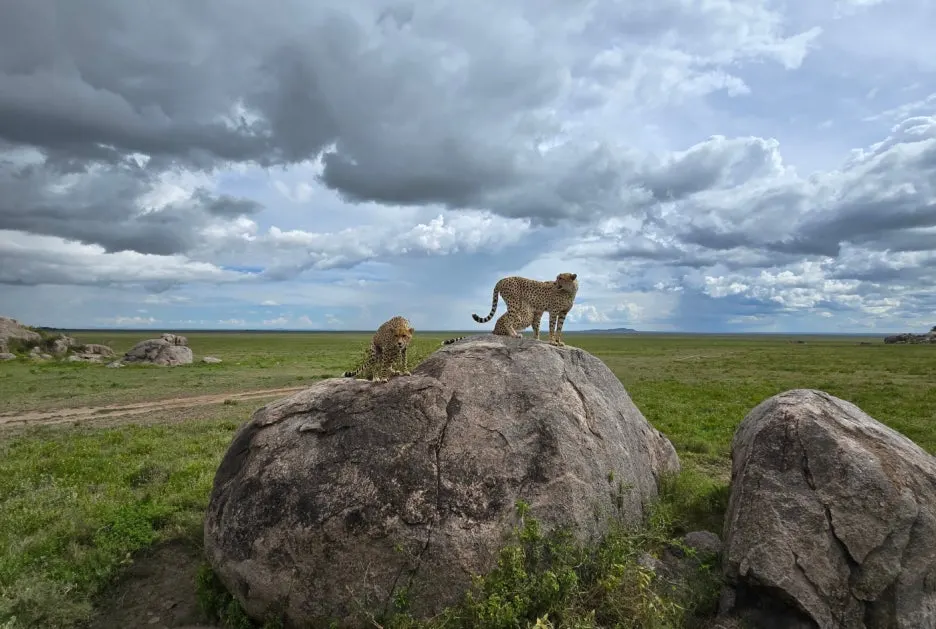 SE-cd991658-c2f4-4922-a855-e5449e3d461d.jpg?type=w1