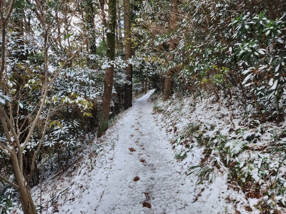 KakaoTalk_20221228_163352103_10.jpg?type=w1