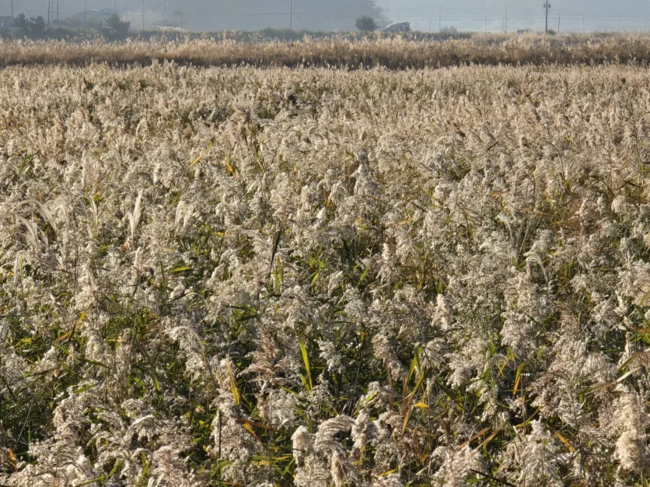 KakaoTalk_20241108_062645057_11.jpg?type=w1