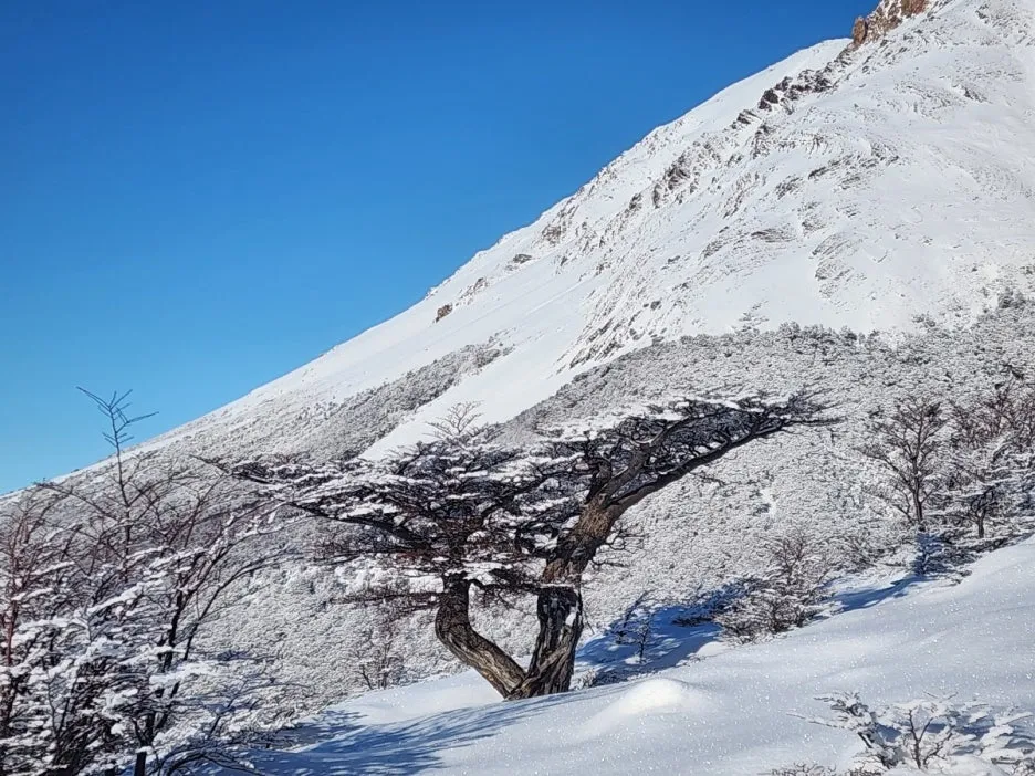 KakaoTalk_20240809_044830248_27.jpg?type=w1