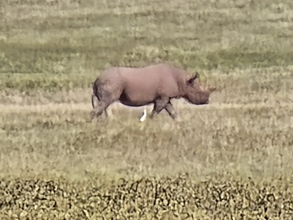 KakaoTalk_20250405_153555823_12.jpg?type=w1