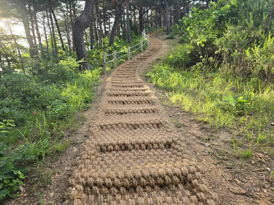 KakaoTalk_20250624_153636444_19.jpg?type=w1