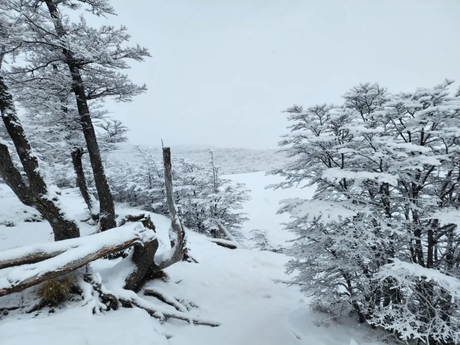 KakaoTalk_20240806_083145095_07.jpg?type=w1