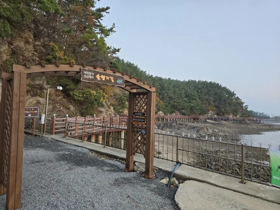 KakaoTalk_20241112_044854649.jpg?type=w1