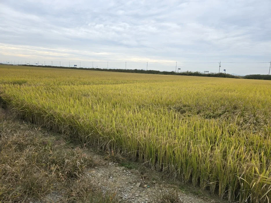 KakaoTalk_20241017_044845874_12.jpg?type=w1