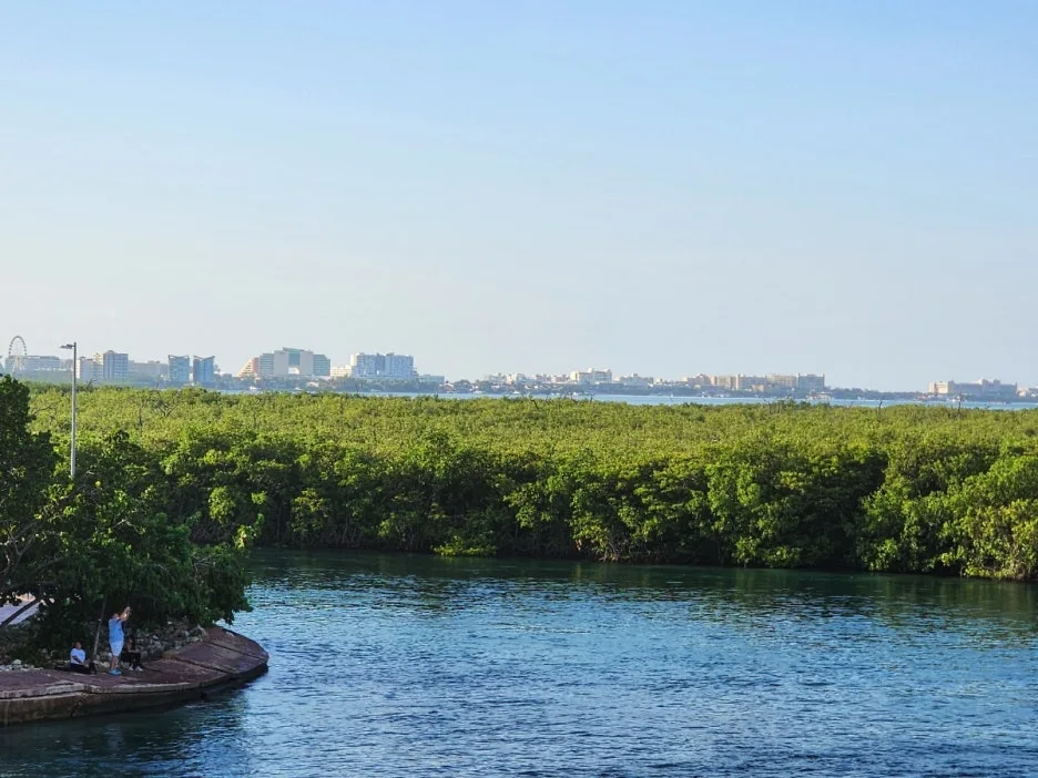 KakaoTalk_20240823_065303997_01.jpg?type=w1