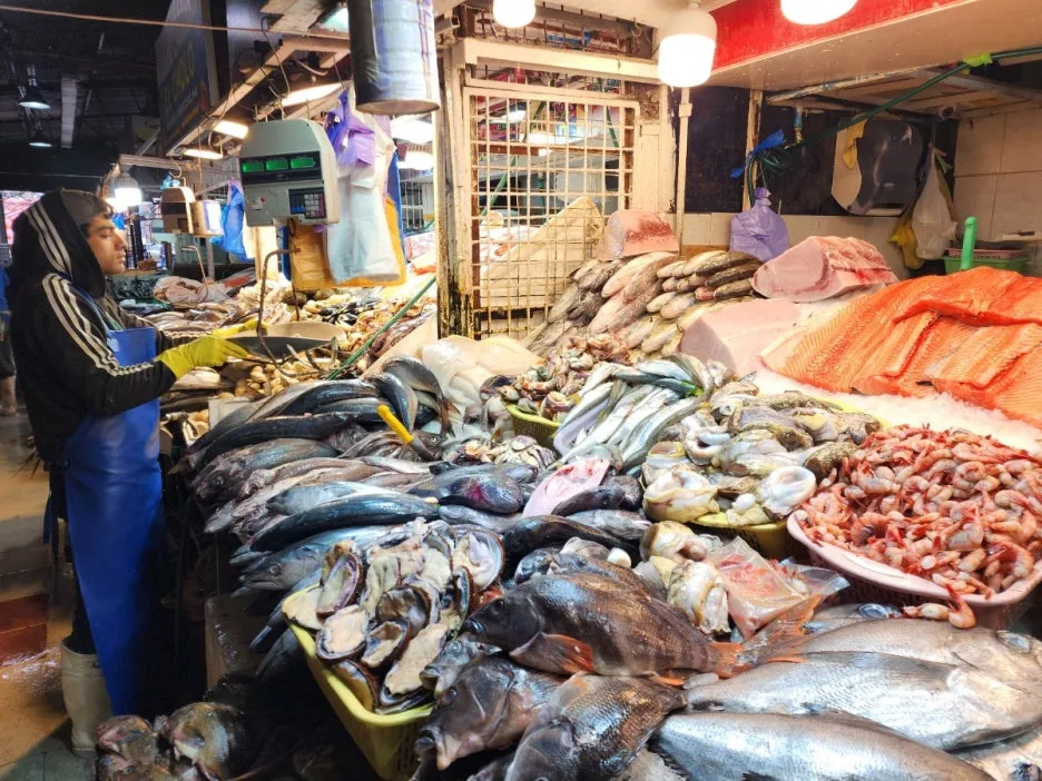 KakaoTalk_20240726_173435283_16.jpg?type=w1