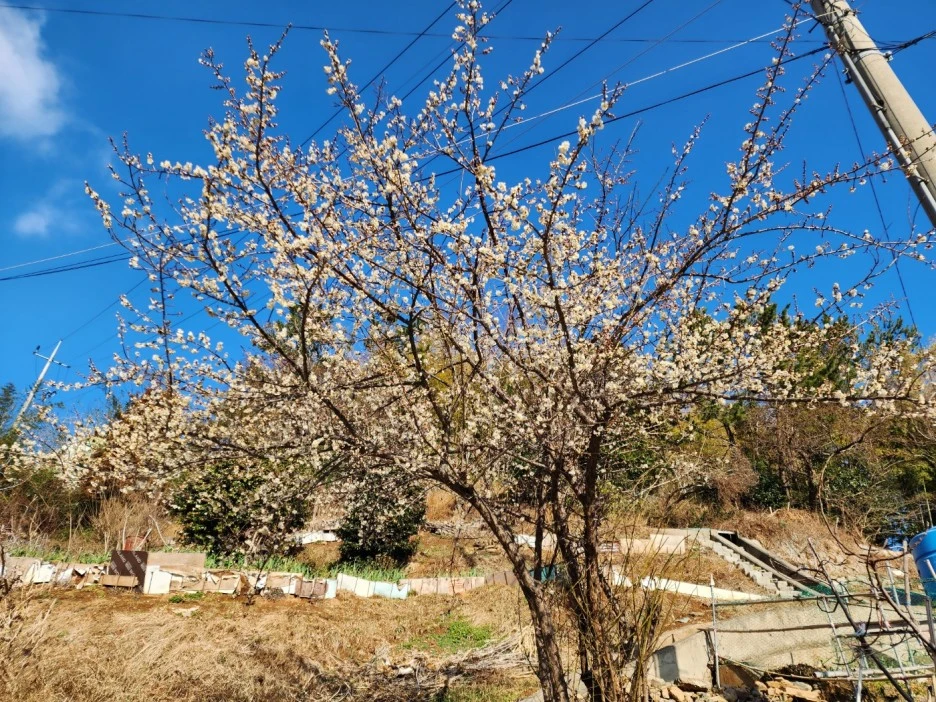 KakaoTalk_20230211_043658778_16.jpg?type=w1