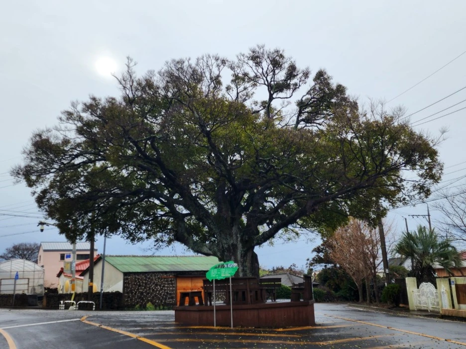 KakaoTalk_20221227_233016012_08.jpg?type=w1