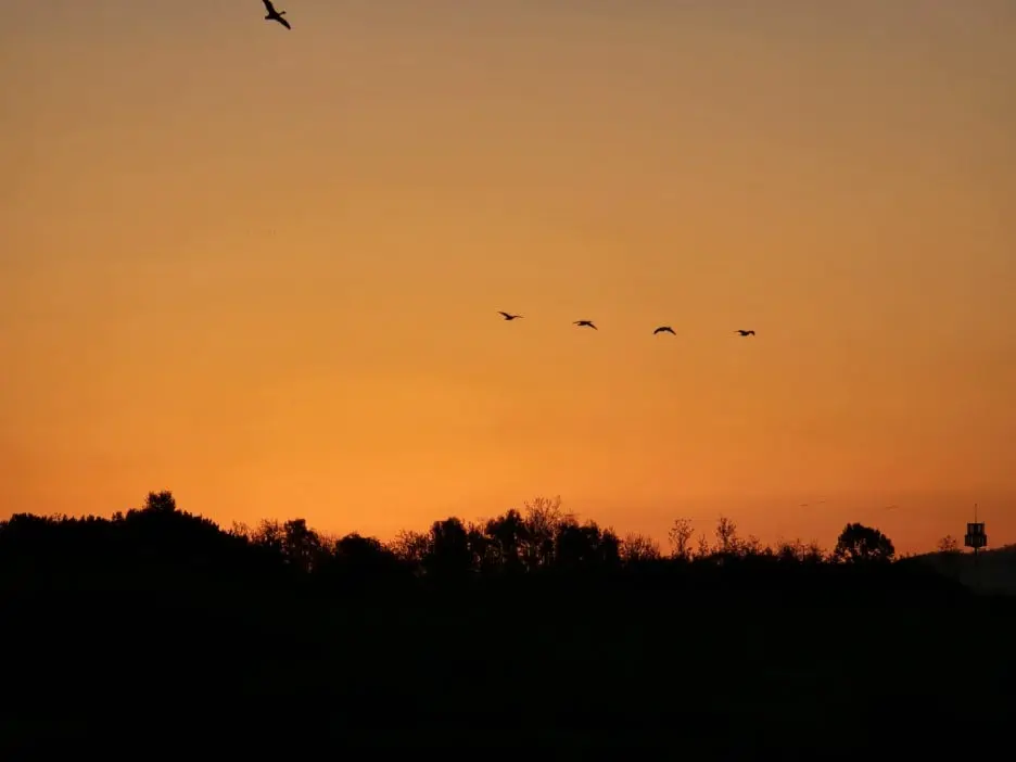 KakaoTalk_20241120_031352450.jpg?type=w1