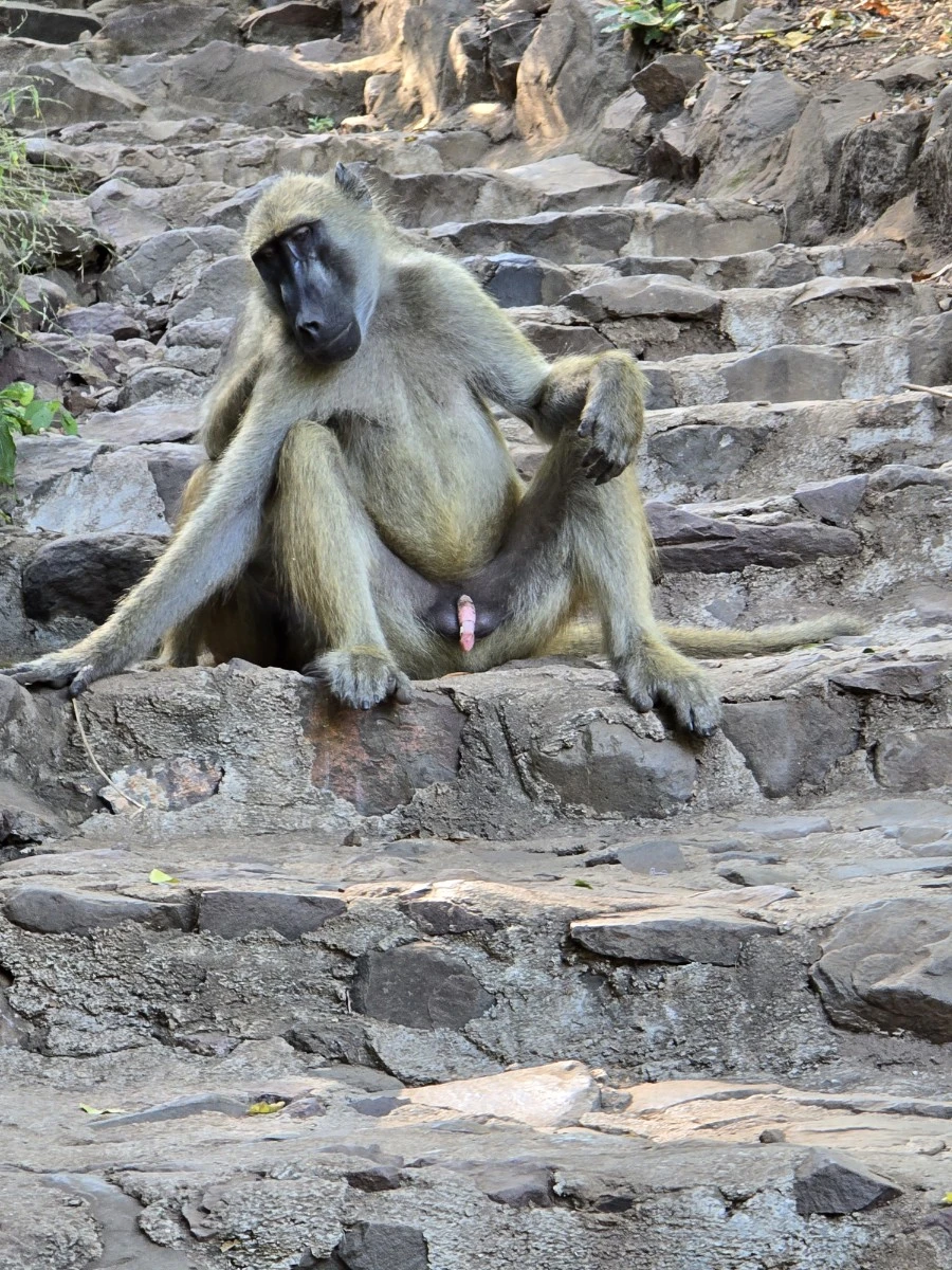 KakaoTalk_20250405_184835524_26.jpg?type=w1