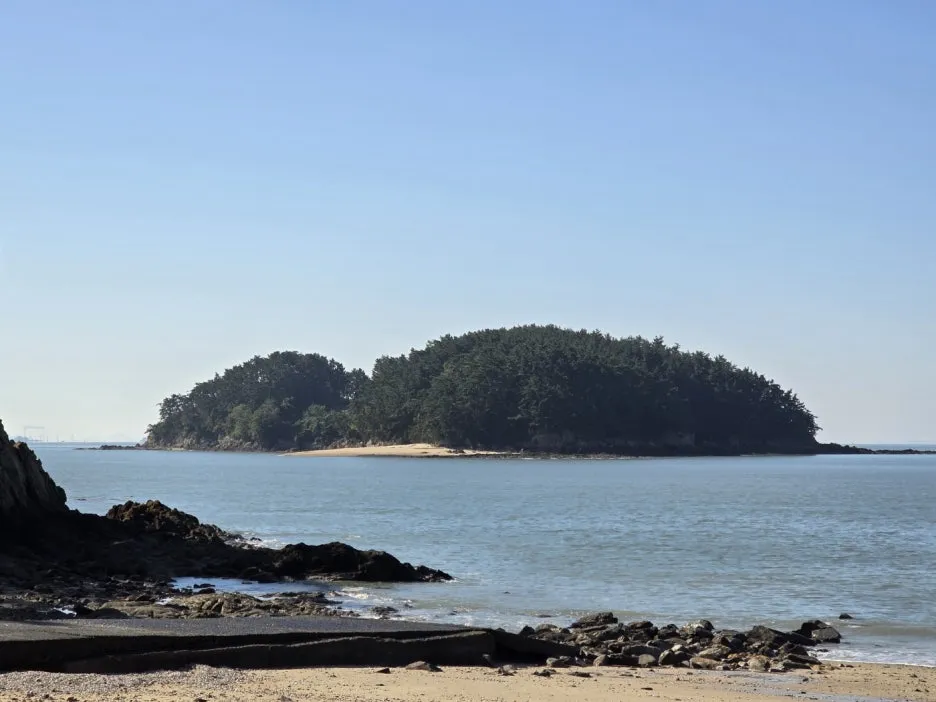 KakaoTalk_20241025_022237268_19.jpg?type=w1