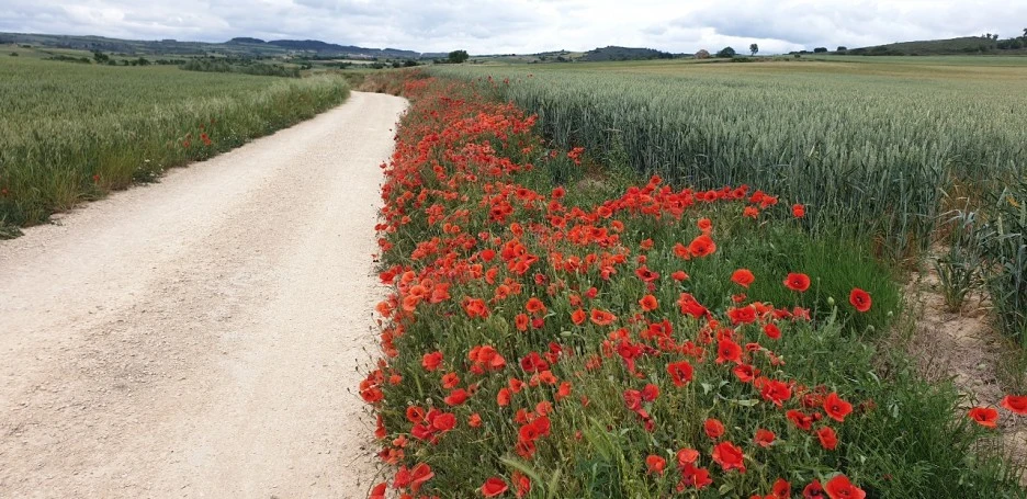 KakaoTalk_20220524_210224742_05.jpg?type=w1