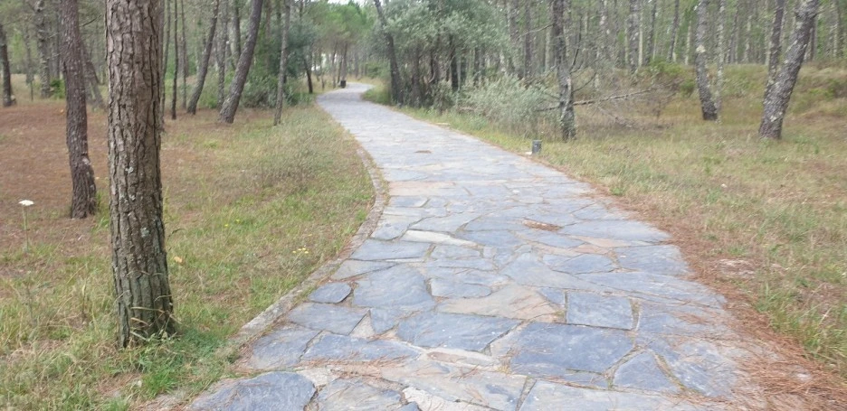 KakaoTalk_20220621_024918785_05.jpg?type=w1