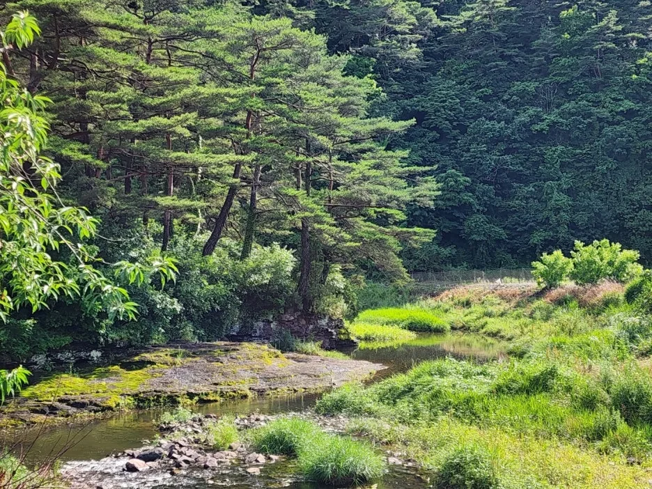 KakaoTalk_20240623_164104547_01.jpg?type=w1