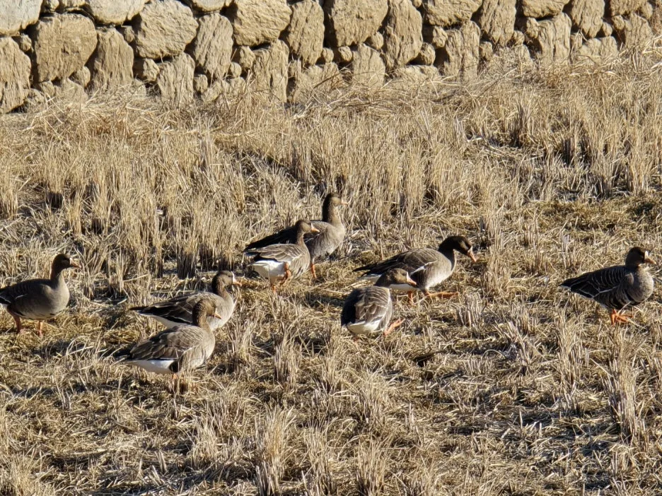 KakaoTalk_20241223_131706327_10.jpg?type=w1