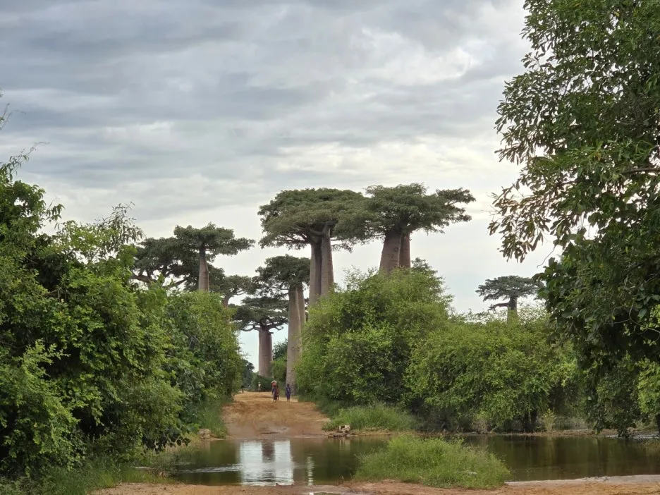 KakaoTalk_20250313_021335192_05.jpg?type=w1