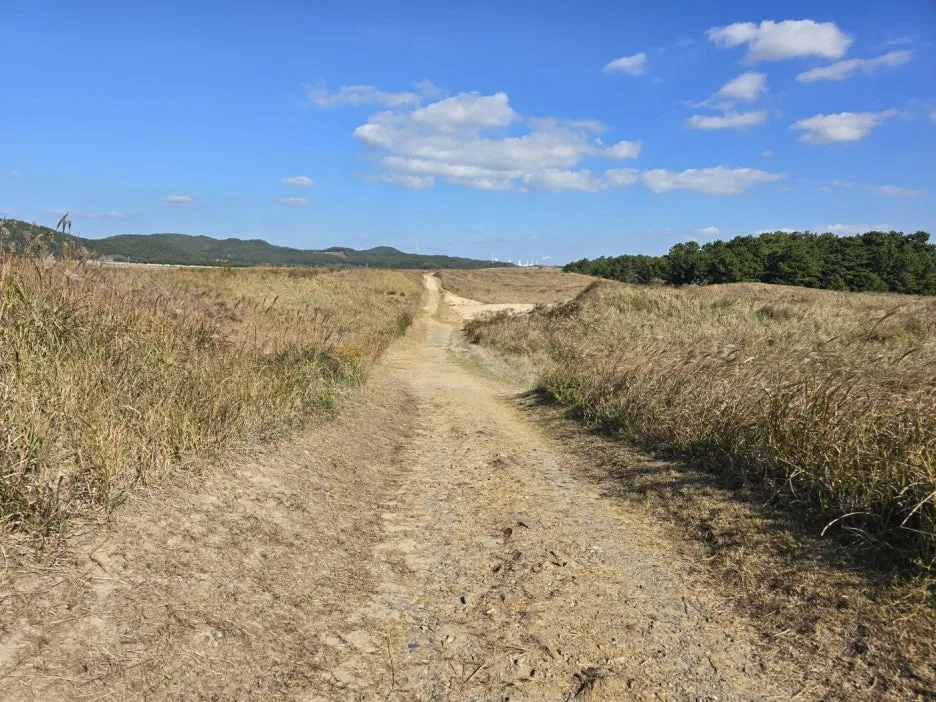 KakaoTalk_20241107_045832646_22.jpg?type=w1