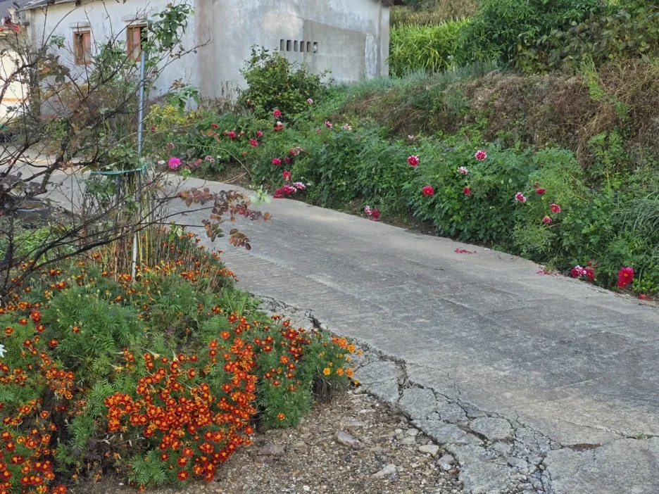 KakaoTalk_20241102_064540914_18.jpg?type=w1