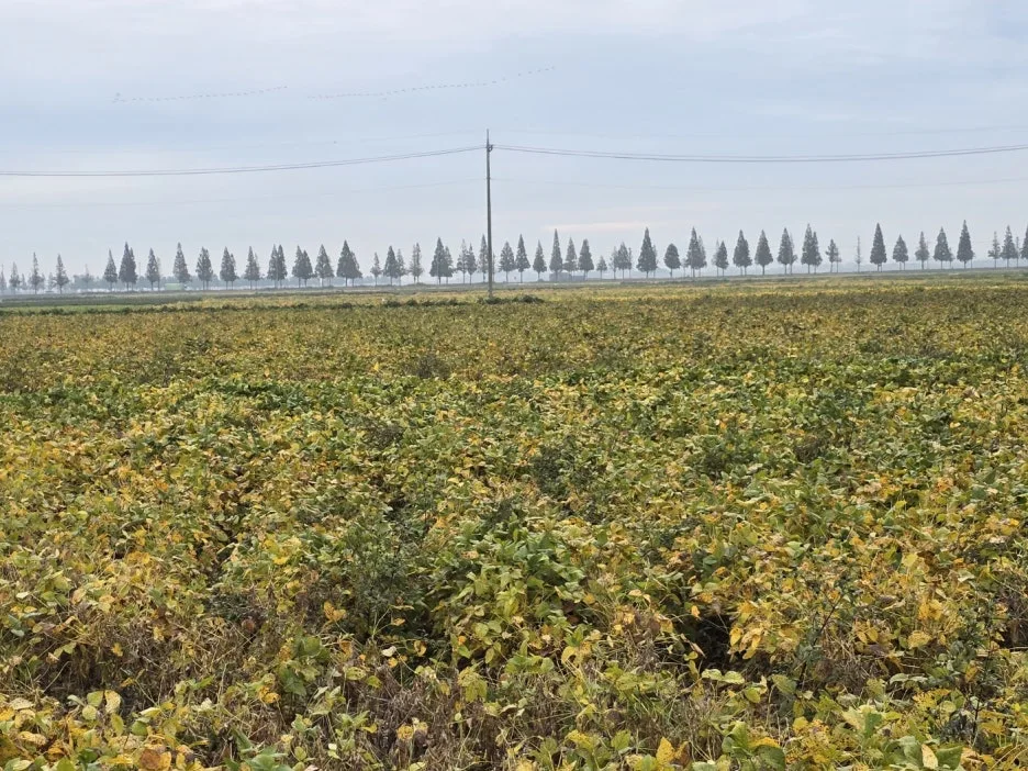 KakaoTalk_20241016_042214358_06.jpg?type=w1