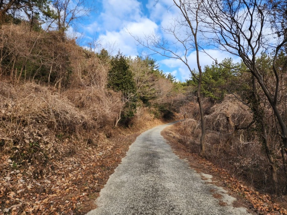 KakaoTalk_20230217_014827435_04.jpg?type=w1