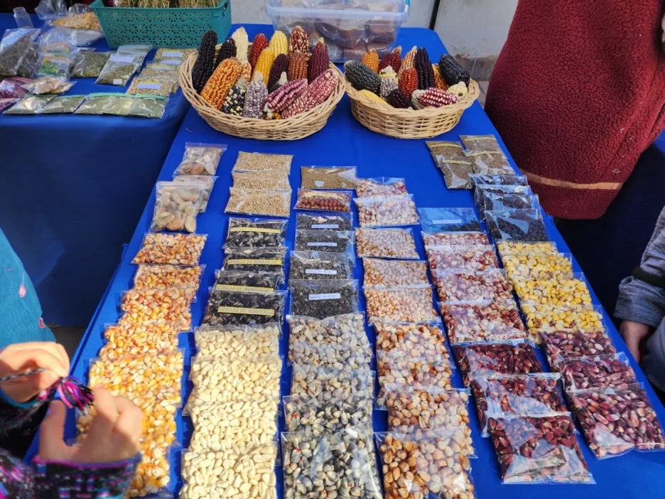 KakaoTalk_20240828_045631860_10.jpg?type=w1