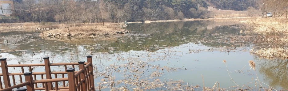 SE-9cd3e14c-ee91-4bc6-acf0-c529f08f1330.jpg?type=w1