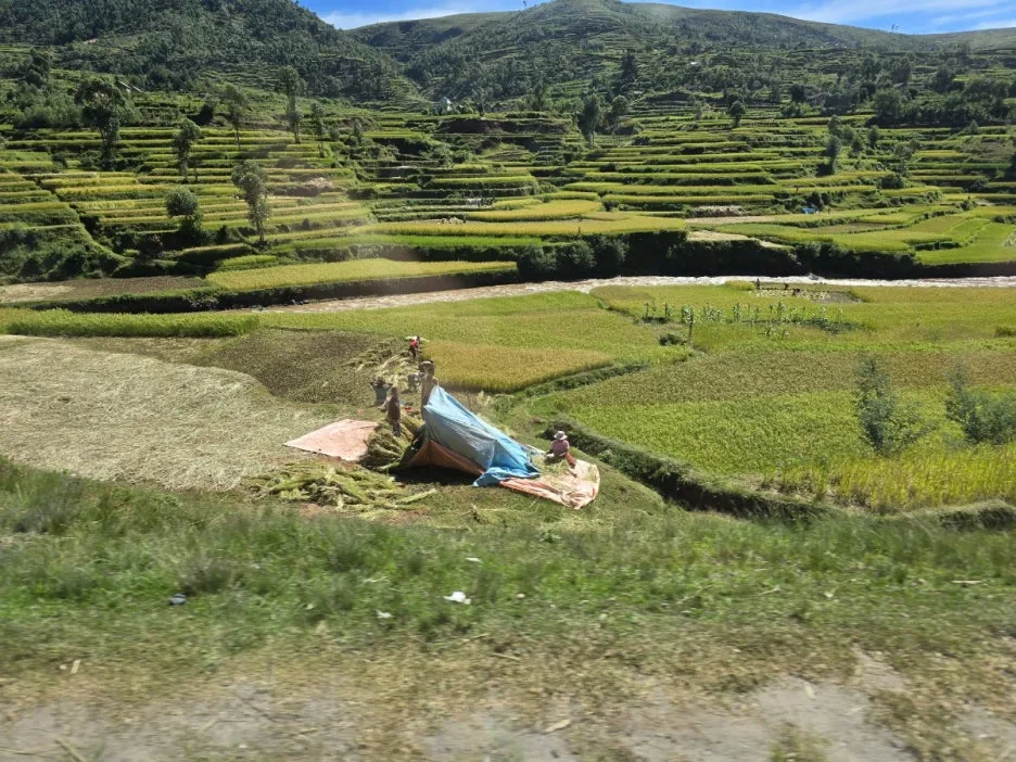 KakaoTalk_20250312_111643061_05.jpg?type=w1