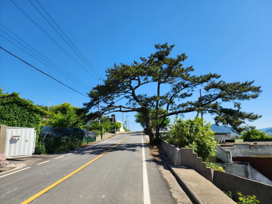 KakaoTalk_20240515_172020759_10.jpg?type=w1