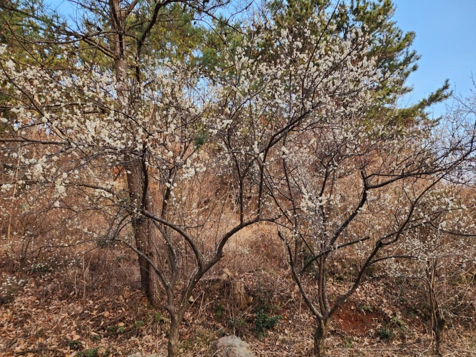 KakaoTalk_20230215_043158214_01.jpg?type=w1