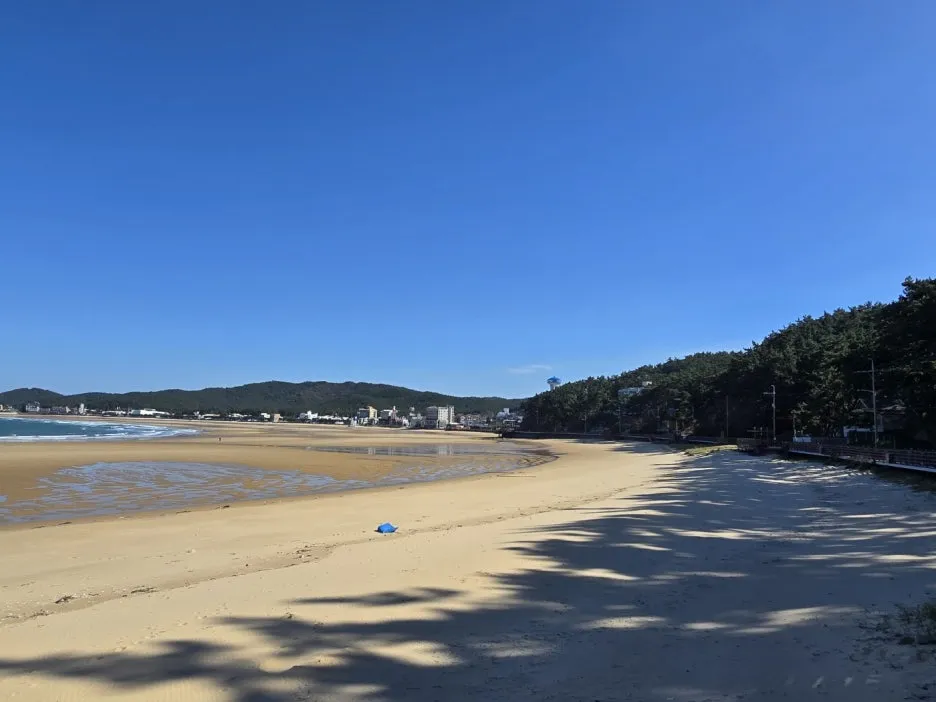 KakaoTalk_20241105_163345460_21.jpg?type=w1