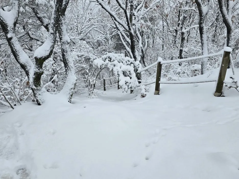 KakaoTalk_20241129_051049908_06.jpg?type=w1