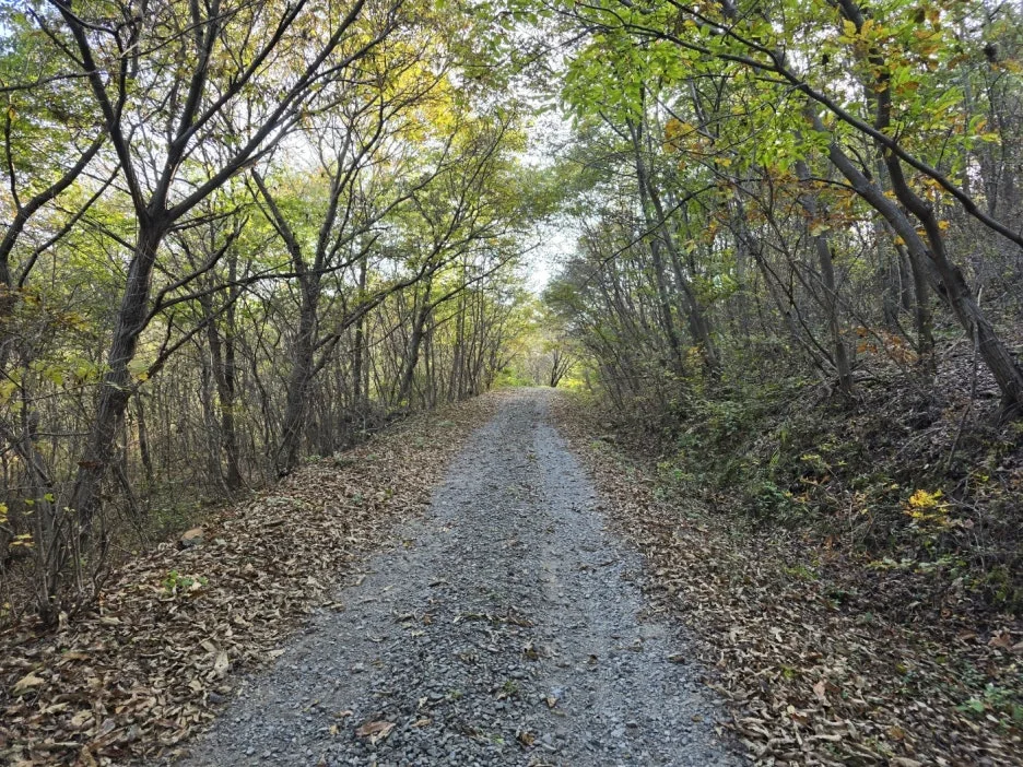 KakaoTalk_20241113_031257885_02.jpg?type=w1