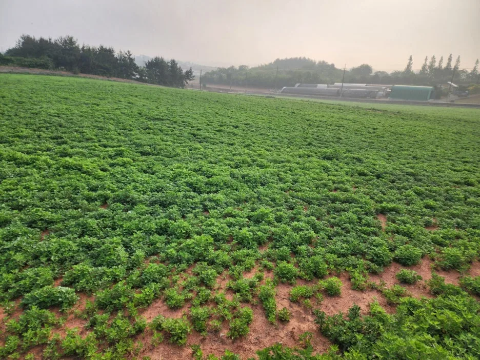 KakaoTalk_20240522_154457657_01.jpg?type=w1