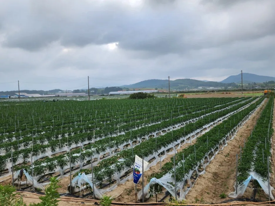 KakaoTalk_20240601_150104531_07.jpg?type=w1