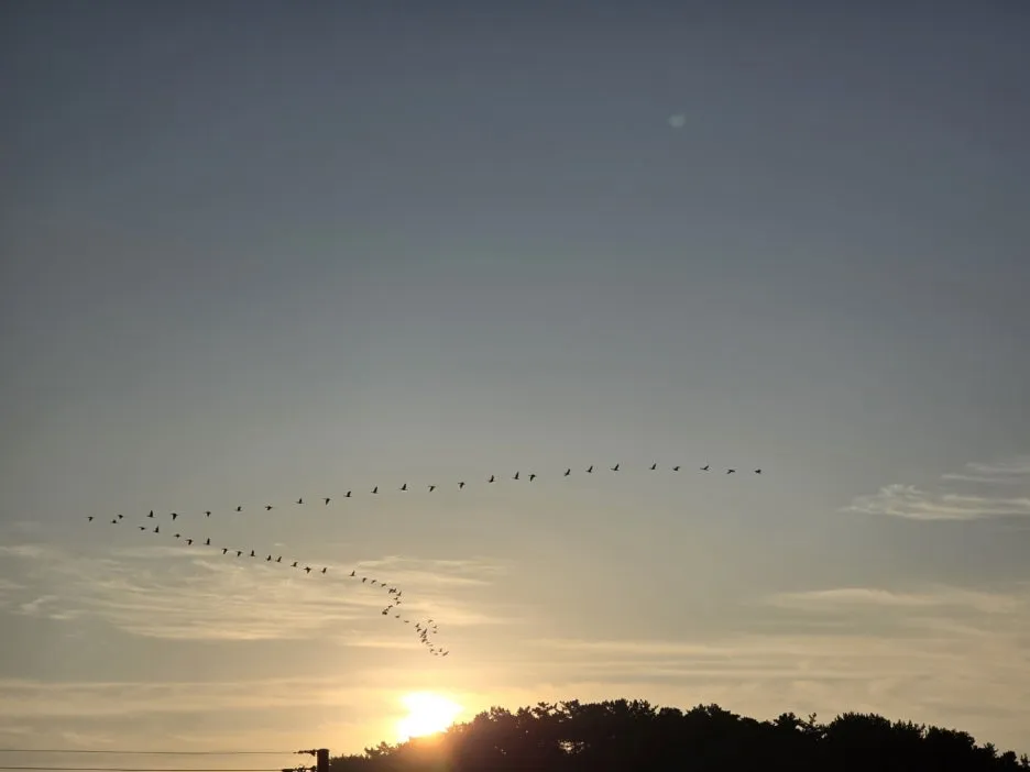 KakaoTalk_20241102_064540914_05.jpg?type=w1