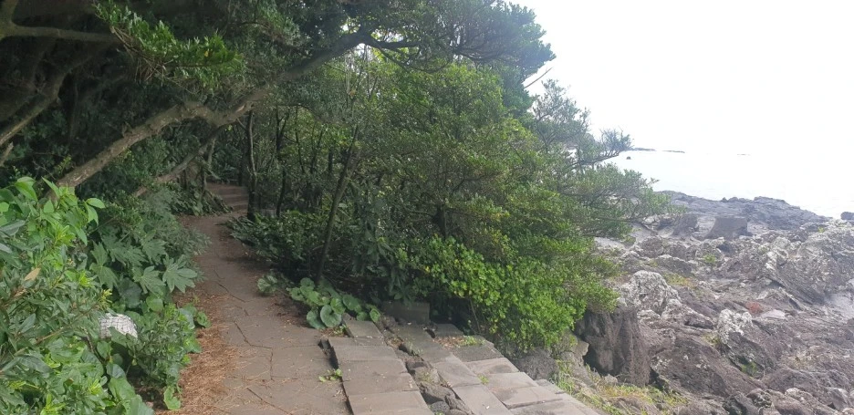 KakaoTalk_20220828_044122015_01.jpg?type=w1