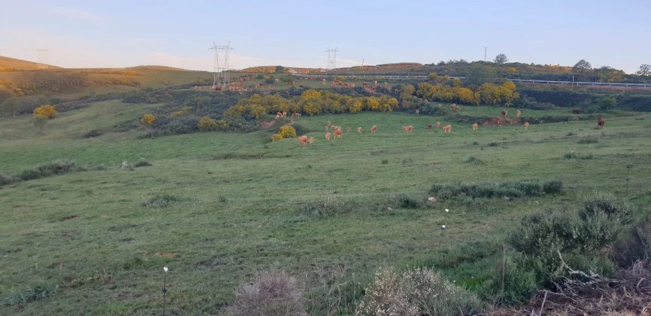 KakaoTalk_20220608_014336516_02.jpg?type=w1