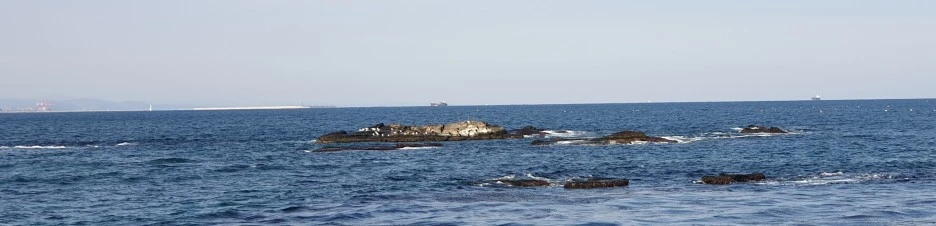 SE-c0f2e016-771c-4982-ae42-451109c429fe.jpg?type=w1