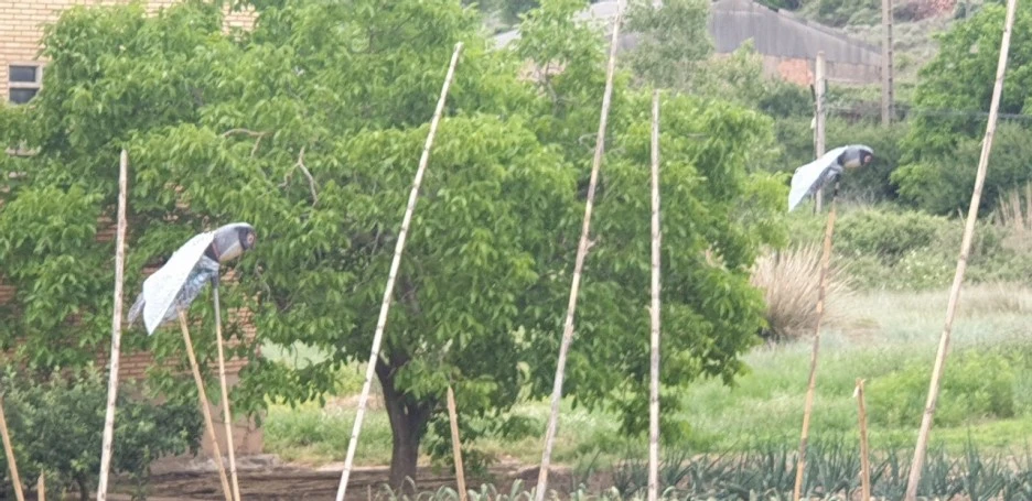 KakaoTalk_20220527_030923495_06.jpg?type=w1