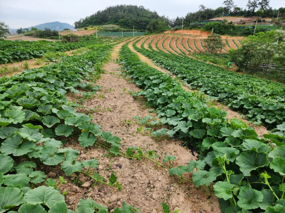 KakaoTalk_20240526_220649914_27.jpg?type=w1